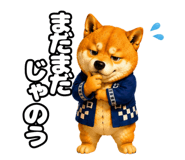 856800129
