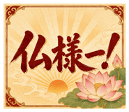 856800162
