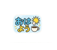 856800185