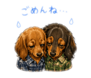 856800216