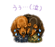 856800217