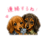 856800235