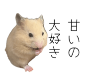 856800343