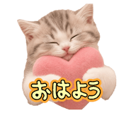 856800345