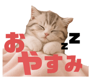 856800348