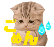 856800349