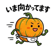 856800356