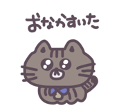 856800416