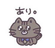 856800417