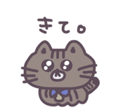 856800418