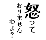 856800538