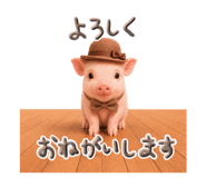 856800617