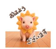 856800619