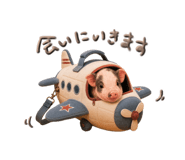 856800622