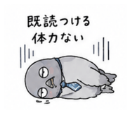 856800681