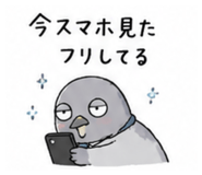 856800682