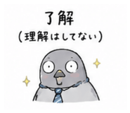 856800684