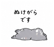 856800688