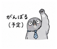 856800689