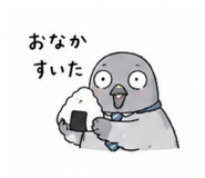 856800690