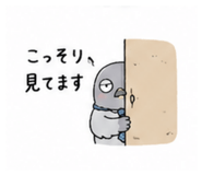 856800695