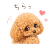 856800731