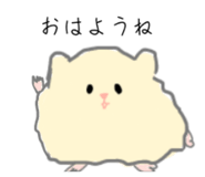 856800818