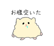 856800836