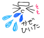 856800884