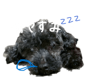 856801261