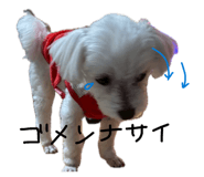 856801269