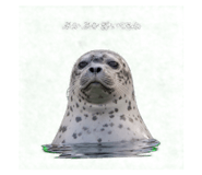 856801366