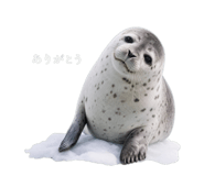 856801368