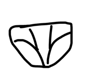 856801564