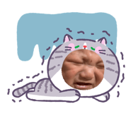 856801753