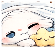 856802050