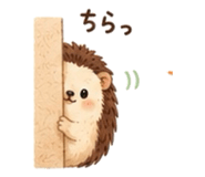 856802136