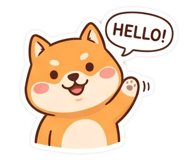 856802245
