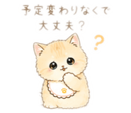 856802308