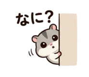 856802375