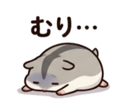 856802385