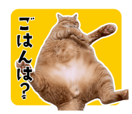 856802552