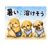 856802570