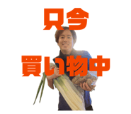 856802627