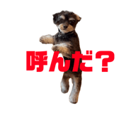 856802817