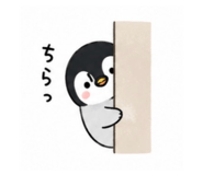 856802976