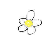 856803120