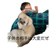 856803163
