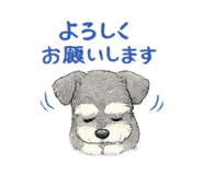 856803236