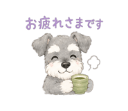 856803243